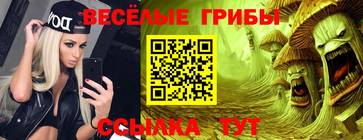NBOMe  Меф МЯУ МЯУ  Канабис  МЕФ кристаллы  Вход с VPN  Горно-Алтайск  ГАШ  Гашиш  Цена 
